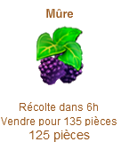 Mûre  Mure10