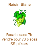 Raisin Blanc Raisin10