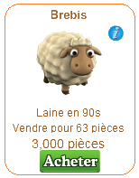 Brebis [Mouton] Brebis10