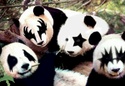 Avez-vous déjà entendu parler de google panda ? Alt+s Panda111
