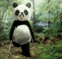 Avez-vous déjà entendu parler de google panda ? Alt+s Panda210