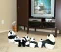 Avez-vous déjà entendu parler de google panda ? Alt+s Panda710