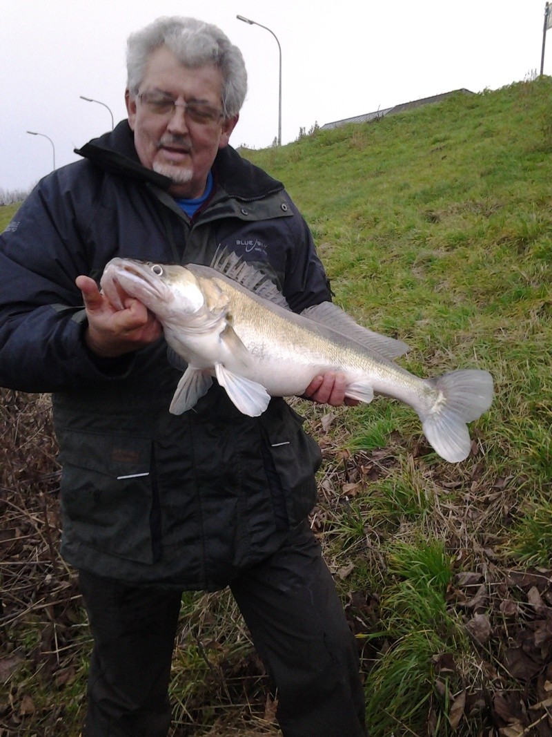 petite session en flandre, vite fait, bien fait 2013-031