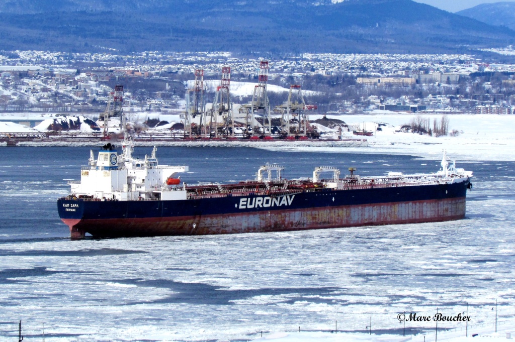 La flotte Euronav - Page 2 29755510