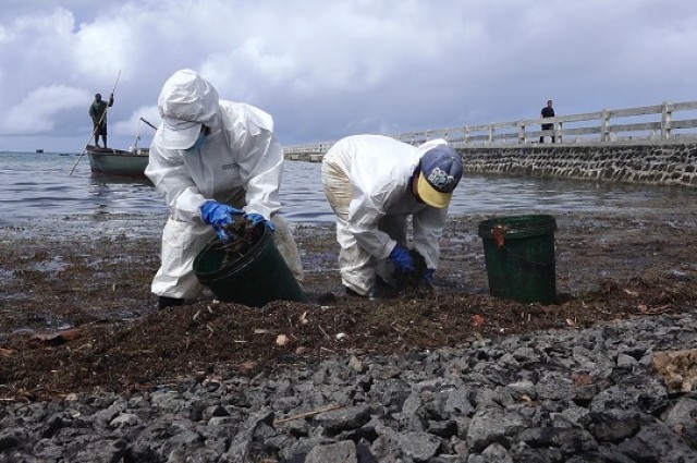 Naufrage du Wakashio : ce désastre écologique dont personne  - Page 9 5b1de710