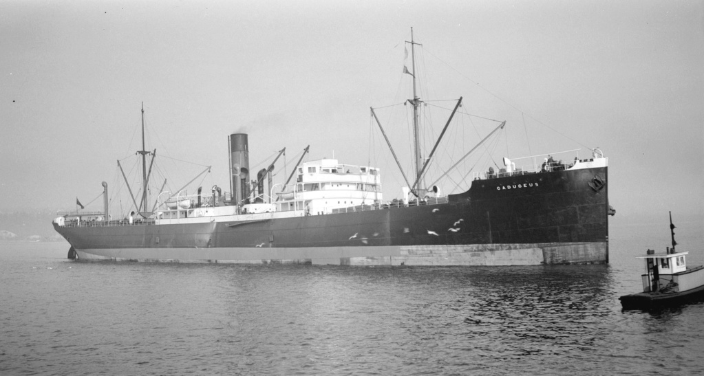 Photos General cargo avant 1940 (Plus 3000gt) 13 Caduce10