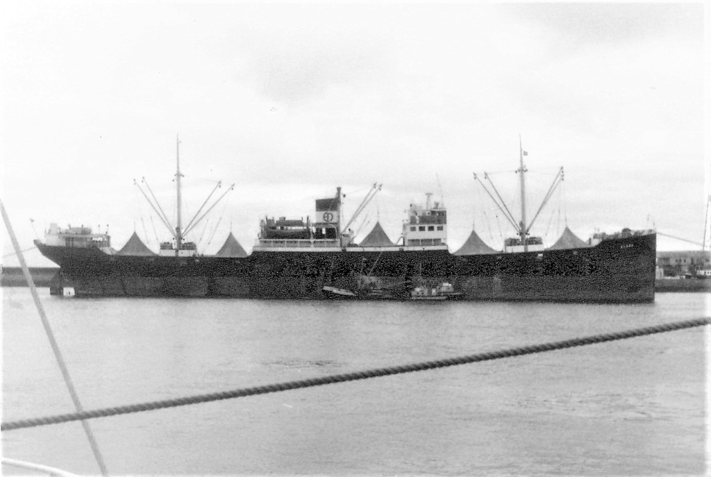 Photos General cargo avant 1940 (Plus 3000gt) 4 Elona_10