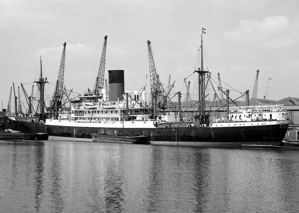 Photos General cargo avant 1940 (Plus 3000gt) 26 Glenea13