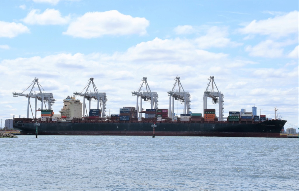 Photos de navires Luxembourgeois Armateur enre Belgique M Maersk10