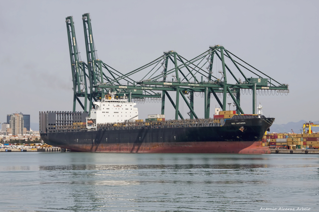 Photos de navires Luxembourgeois Armateur enre Belgique M Msc_an10