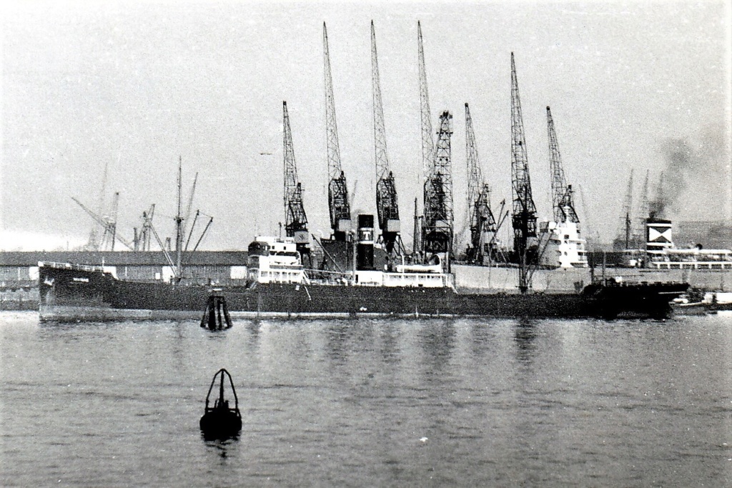 Photos General cargo avant 1940 (Plus 3000gt) 5 Navida10