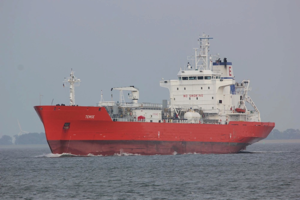 Photos des Navires Belge de la marchande,Fluviale et Pêche 3 Temse_11