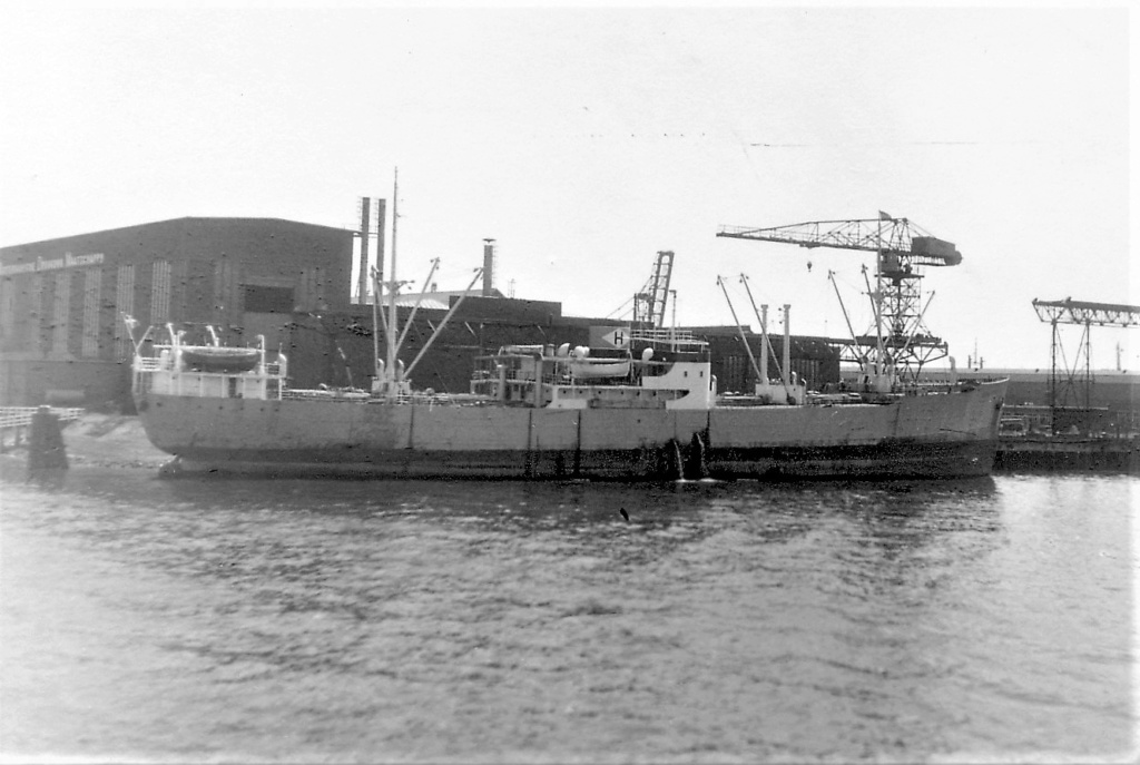 mai 1940 - Photos General cargo avant 1940 (Plus 3000gt) 5  Vinga_10