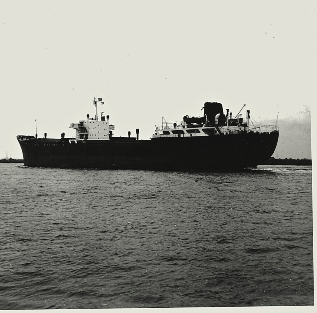 Photos Navires du monde construit entre 1950-1960 (5) White_11