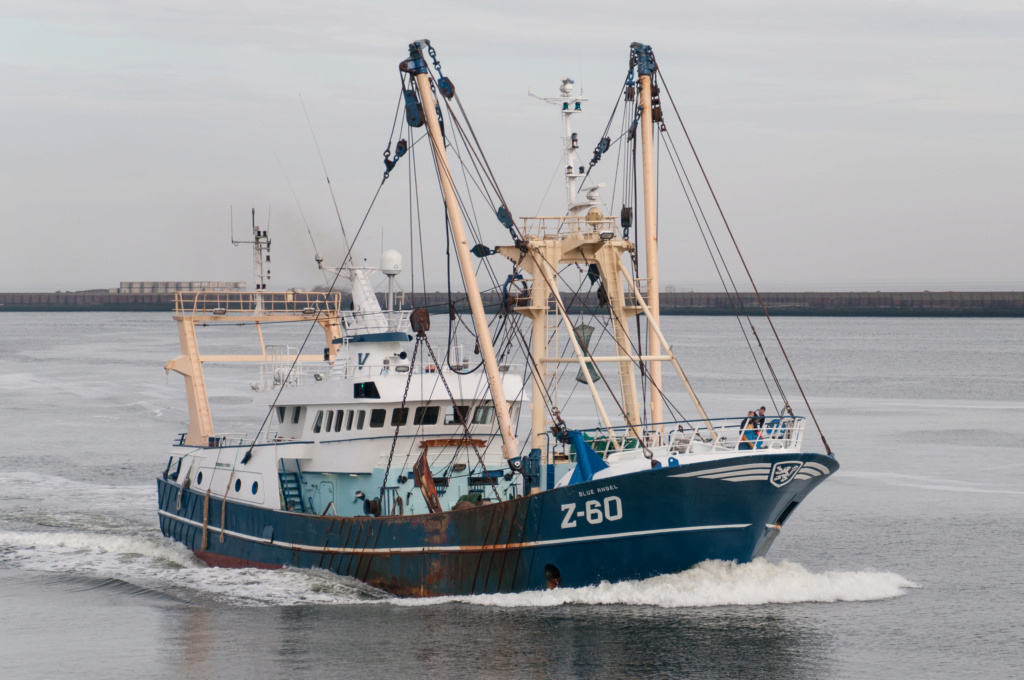 Photos des Navires Belge de la marchande,Fluviale et Pêche 3 Z_60_b10