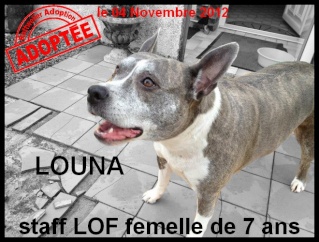 LOUNA - staff LOF - femelle Lounas10