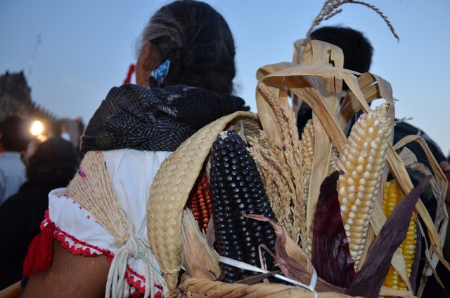Monsanto Assault Meets Aztec Resistance ! Help save our native corn species from extinction! Cornfi11
