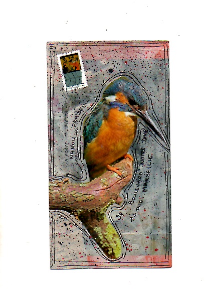 Galerie : Les petits oiseaux - Page 2 Img40511