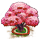 Cerisier [+ Arbre à Cerises Confites] Arbre_12