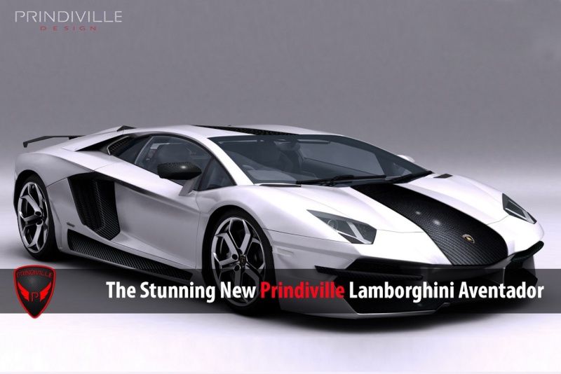 Lamborghini Aventador (Aoshima 1/24) Prindi11