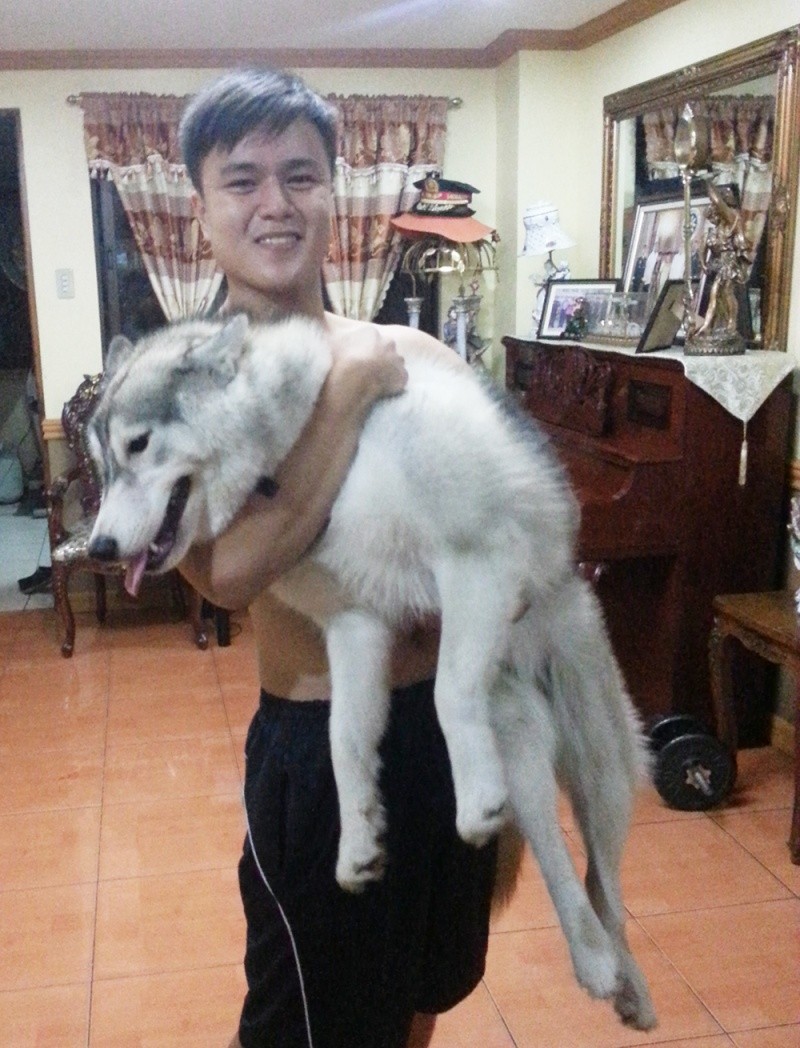 Raven and Erika, My Huskies :) 2013-010