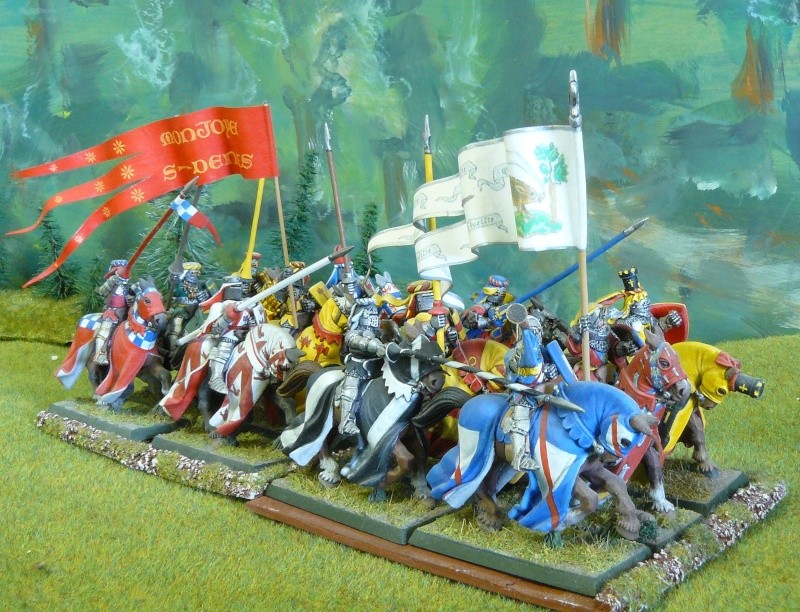 Le Grand Ost d'Ovalie : 10 000pts de Bretonniens Warhammer V5 peints aux couleurs HYW P1180955
