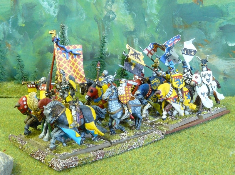 ovalie - Le Grand Ost d'Ovalie :10 000pts de Bretonniens Warhammer V5 peints aux couleurs HYW P1180960