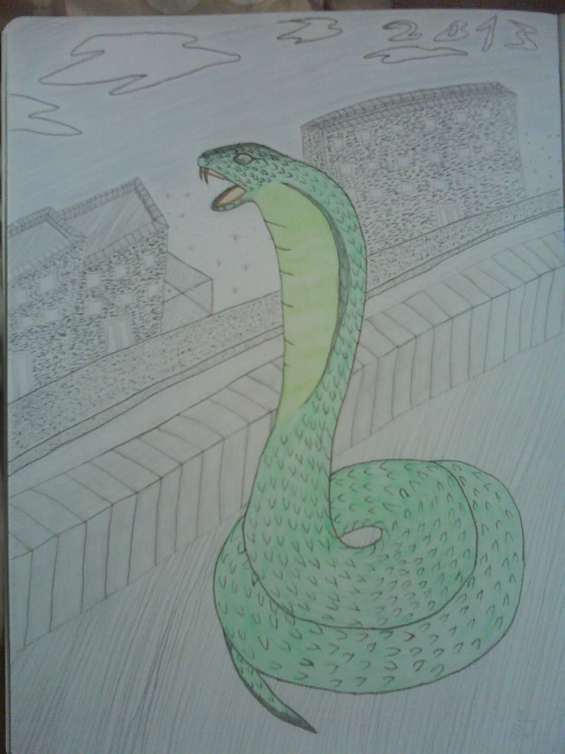 Défi: Année du Serpent. Annae_10