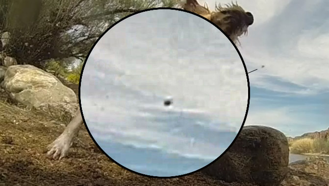 Un photographe film un ovni en arizona avec sa Gopro Dano-g10