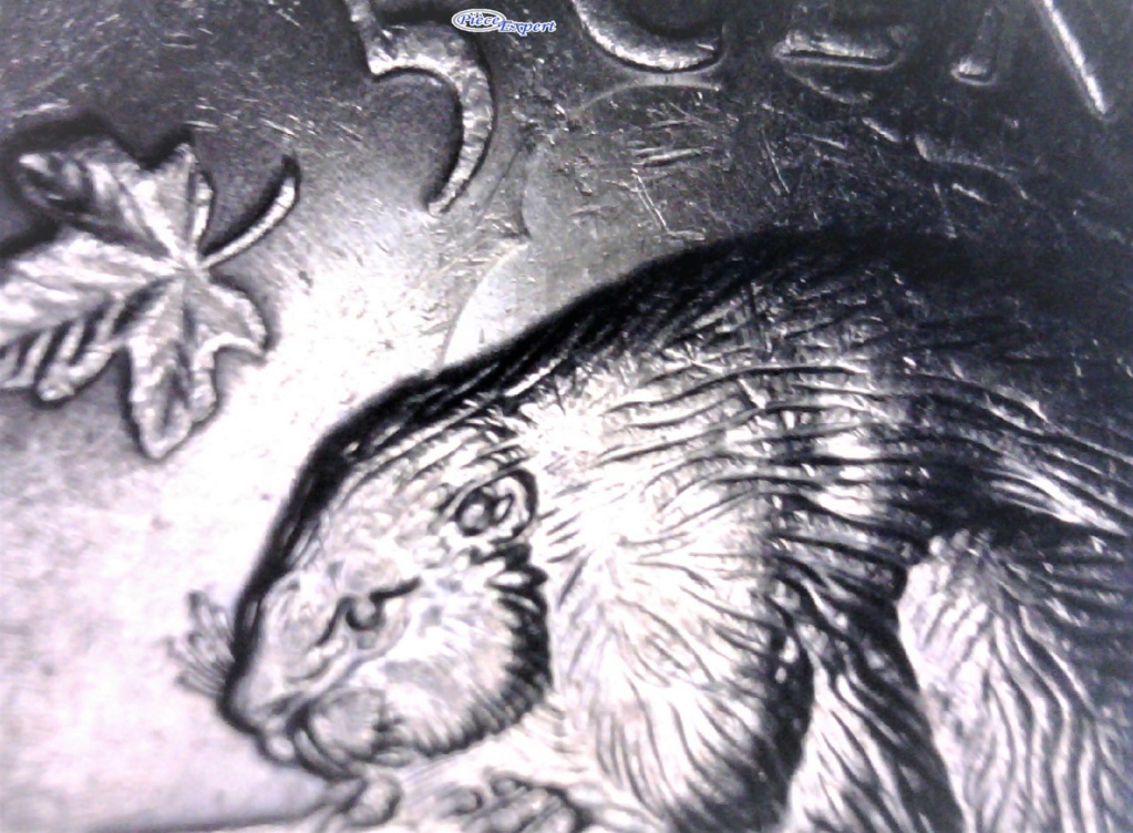 1996 - Couronne Sur Castor - 6 Attaché - Coin Brisé - Attached 6 Crown On Beaver Image336