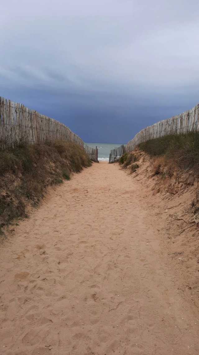 île d'Oléron en Octobre - Page 2 Img-2128