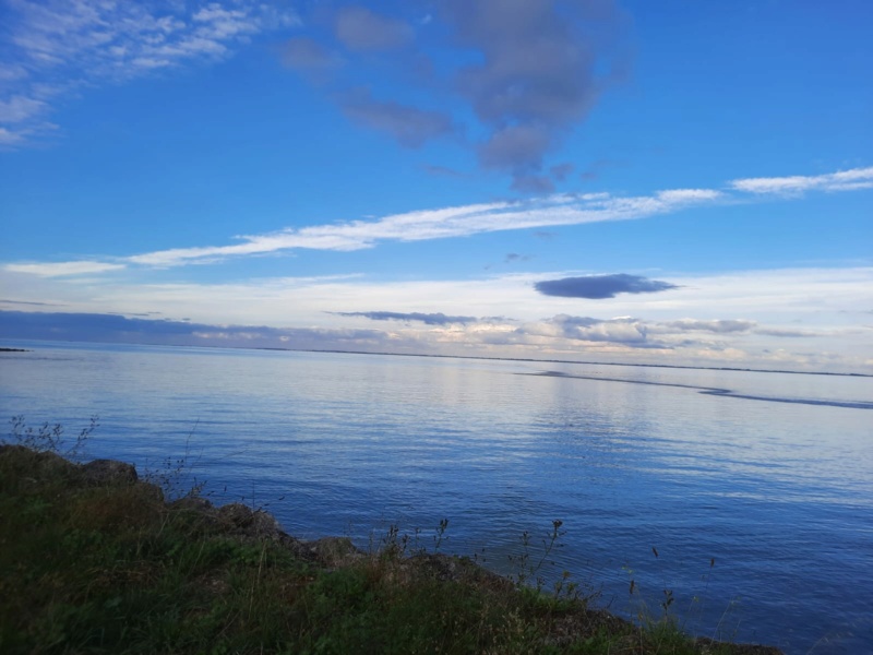 île d'Oléron en Octobre - Page 3 Vers_m10