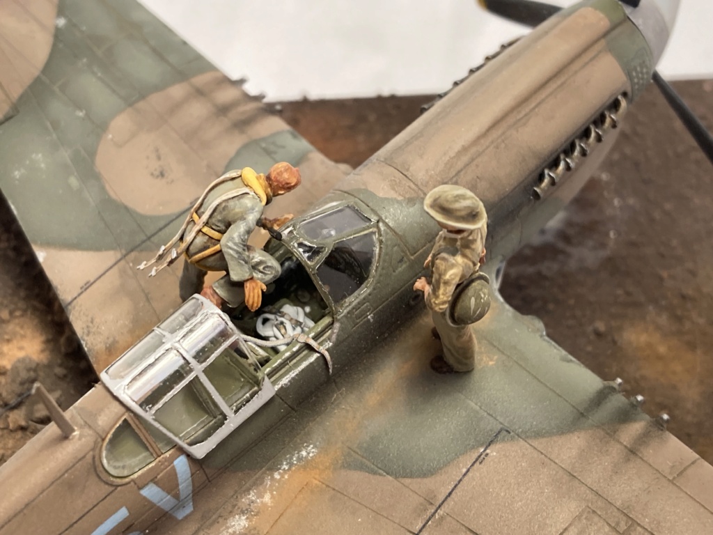 [special hobby] Kittyhawk P40M RAAF Los Négros 1944 Img_6913