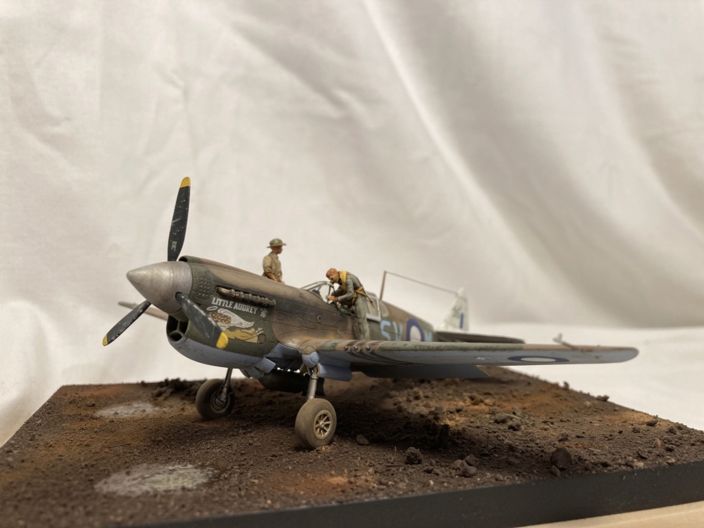 [special hobby] Kittyhawk P40M RAAF Los Négros 1944 Img_6917