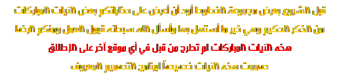 مكتبة الخط العربي  Text3910