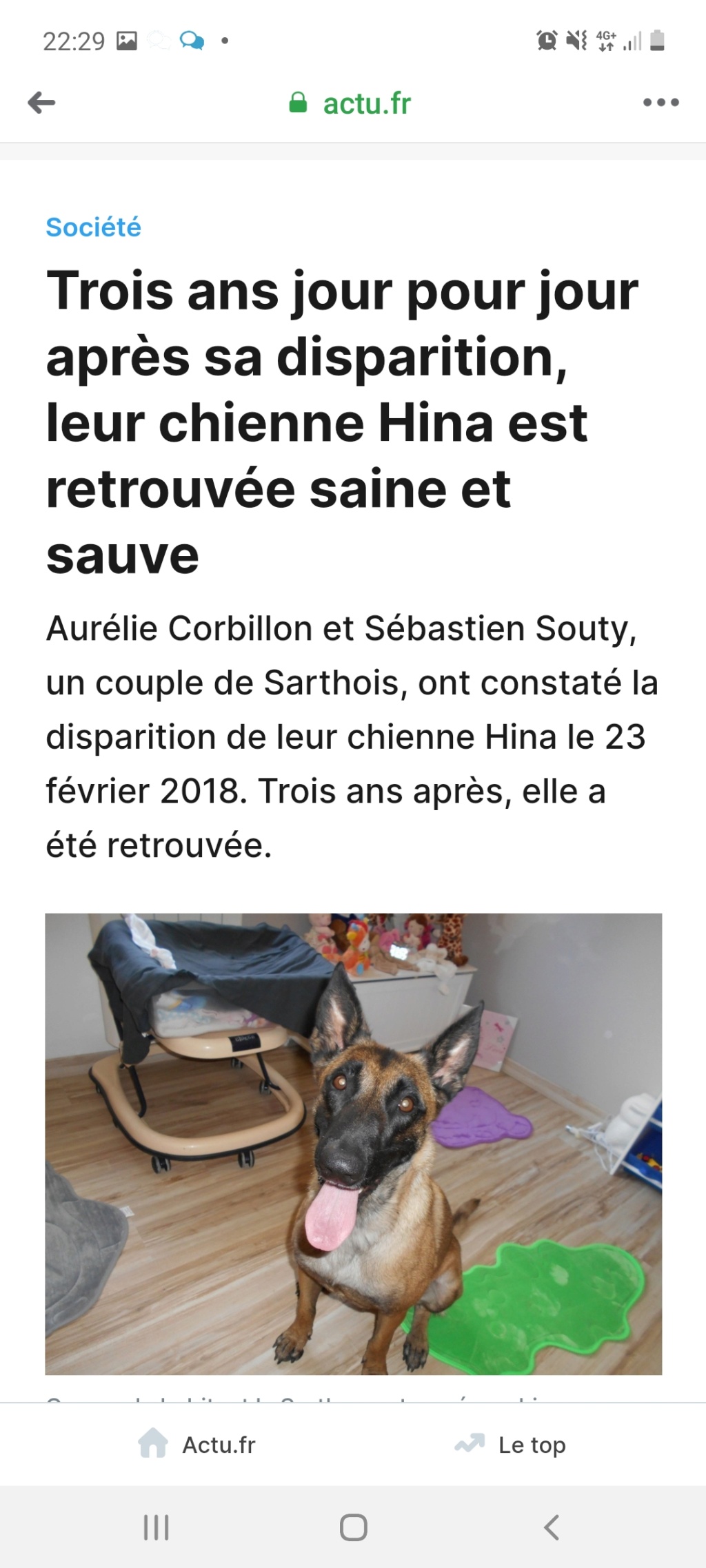 ** URGENCE POUR BAXTER ** 11 ans  et + de 5 ans de box - mâle croisé de taille moyenne, né environ en 2009  - REMEMBER ME LAND - ADOPTE PAR DOMINIQUE (28) - EN FUGUE !! - Page 32 Screen72