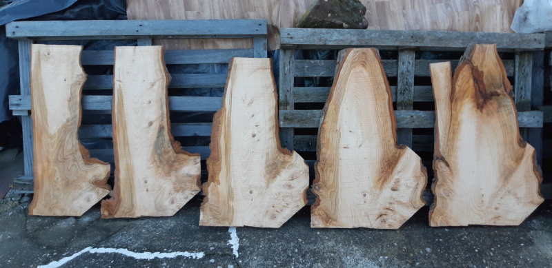 QUE POURRAIT ON BIEN FAIRE AVEC DES PLANCHES DE THUYAS 20181119