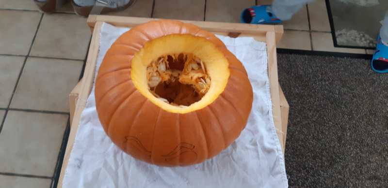 CITROUILLES ou COURGES d'HALLOWEEN ??? 20211019