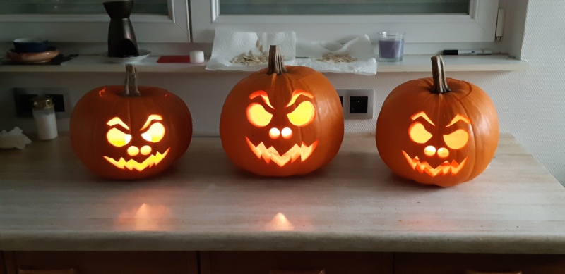 CITROUILLES ou COURGES d'HALLOWEEN ??? 20211026