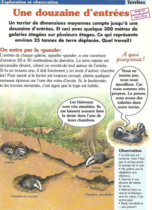 Le terrier du meles - Page 7 C7e9c510