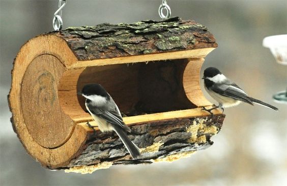 DEFI CONCOURS....FABRIQUER  LE GÎTE OU LE COUVERT POUR NOS PETITES BÊTES À PLUMES OU À POILS Ecf36f10