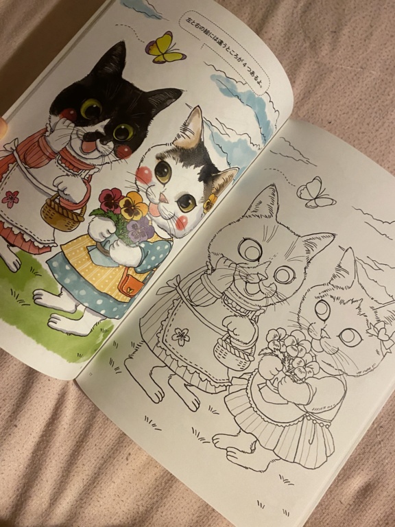 Fun cat coloring book Img_7610