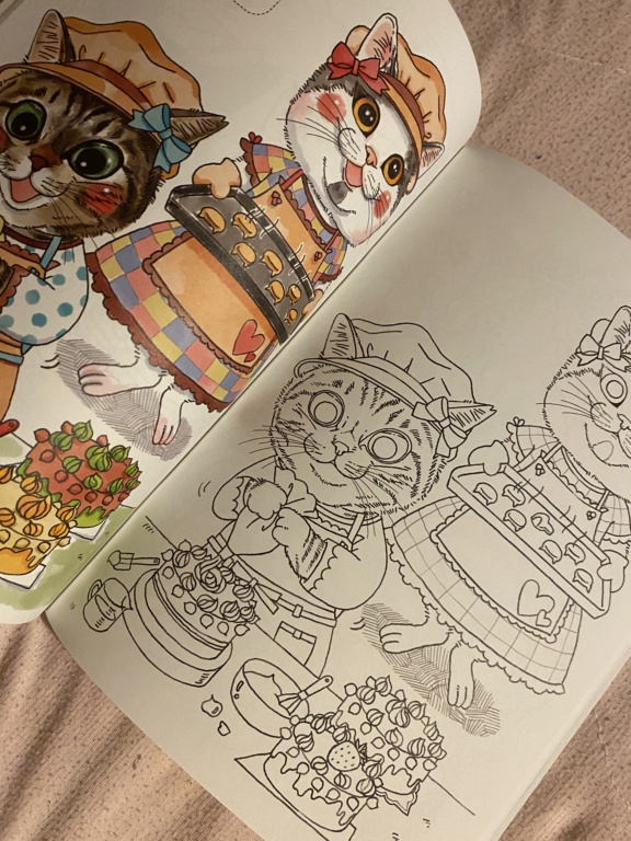 Fun cat coloring book Img_7612