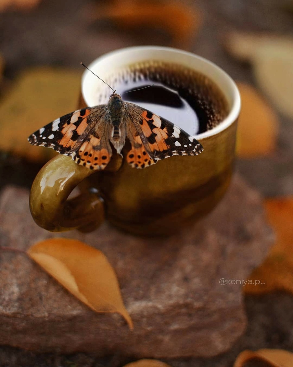 Кофейные бабочки. Нежные бабочки над кофе.