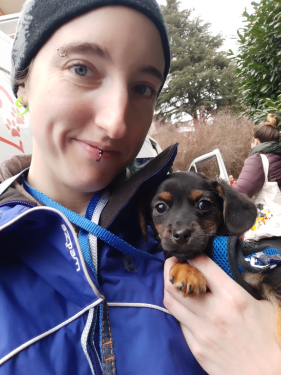 CHARLIE (ex BABYCHOU) - chiot mâle, taille petite à l'âge adulte - Né environ en mi août 2019 - REMEMBER ME LAND - Adopté par Gaelle (Belgique) 20191216