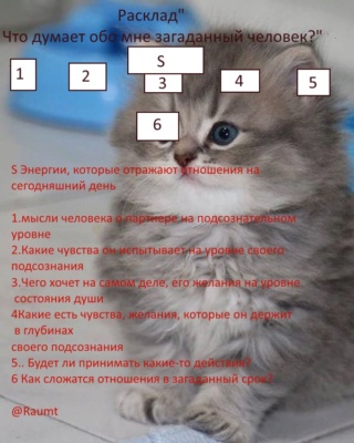 Расклад"Что думает о партнере загаданный человек? Image11