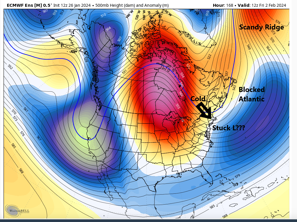 JAN 28th-30th 2024 Potential system compliments of a +PNA - Page 3 Nextwe10