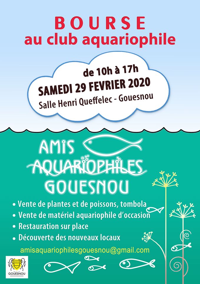 Bourse aquariophile de Gouesnou (29) 83870310