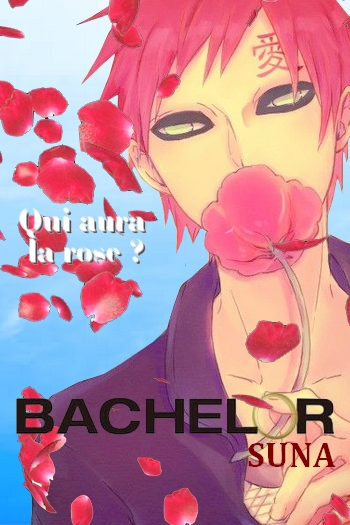 Qui aura la rose ? - Bachelor, version Suna (Charlissa) Gaaral11