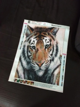 Un tigre: Mon premier DP terminé Img_2012